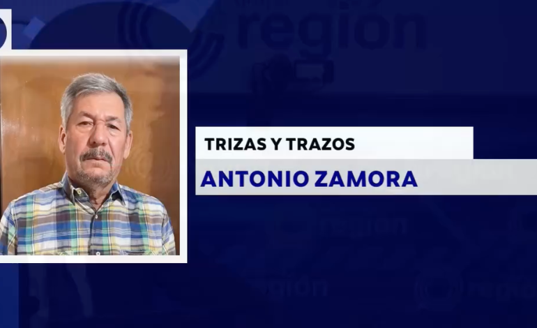 TRIZAS Y TRAZOS ANTONIO ZAMORA